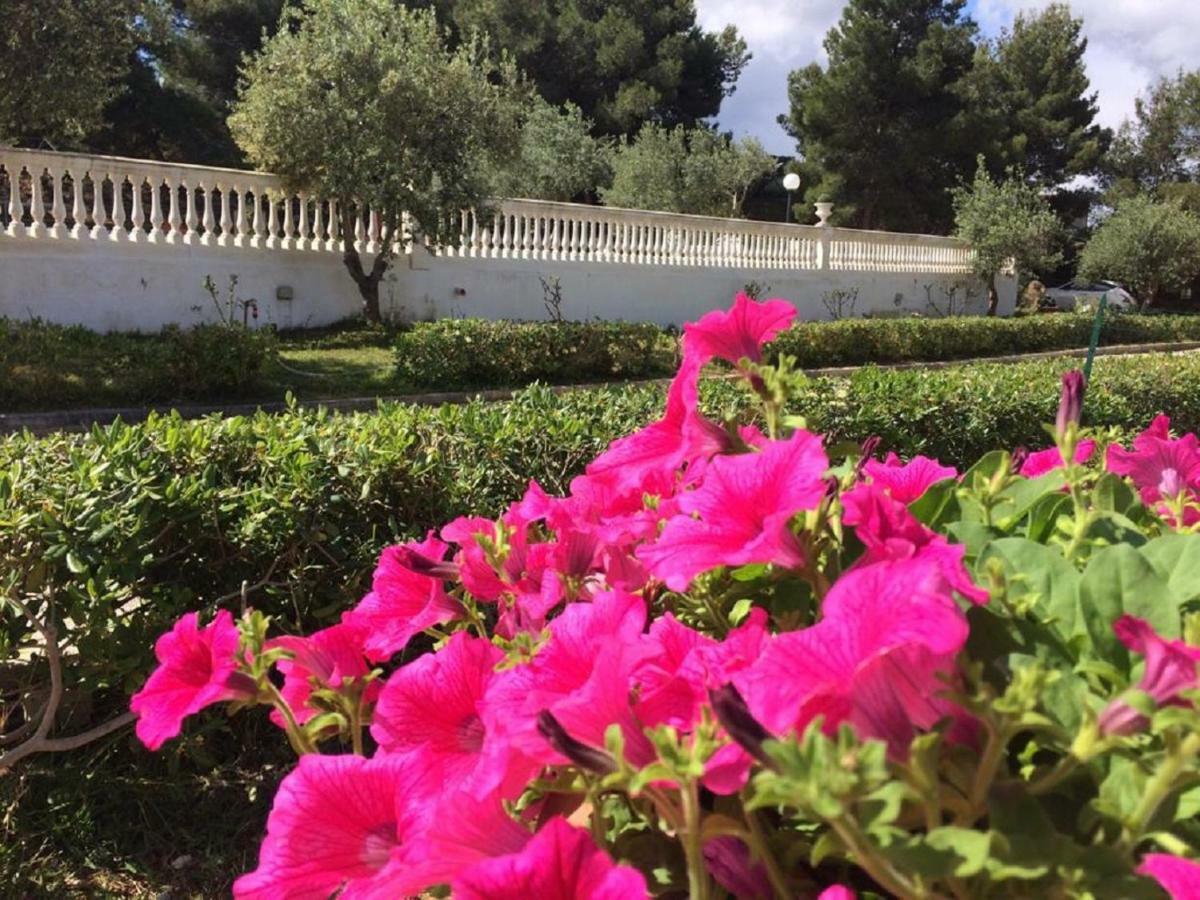 Villa Nunziatella Badia Trappeto  Bagian luar foto